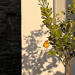 Apartament Avra, A Serene Cycladic With Private Pool Overlooking The Aegean Sea Batsi