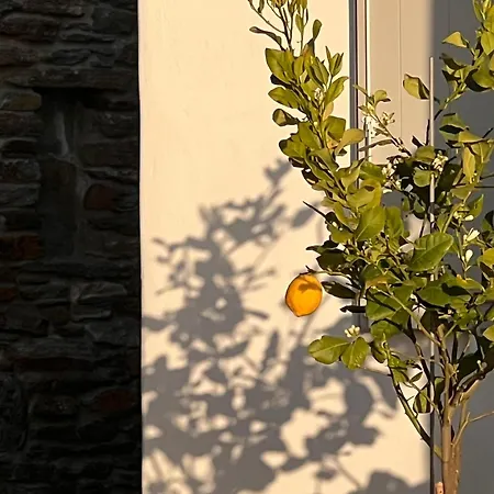 Apartman Avra, A Serene Cycladic With Private Pool Overlooking The Aegean Sea Bací