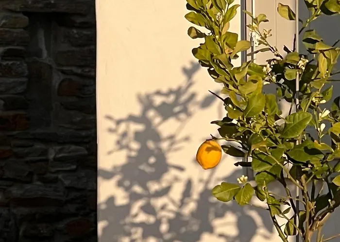 公寓 Avra, A Serene Cycladic With Private Pool Overlooking The Aegean Sea 巴特斯欧