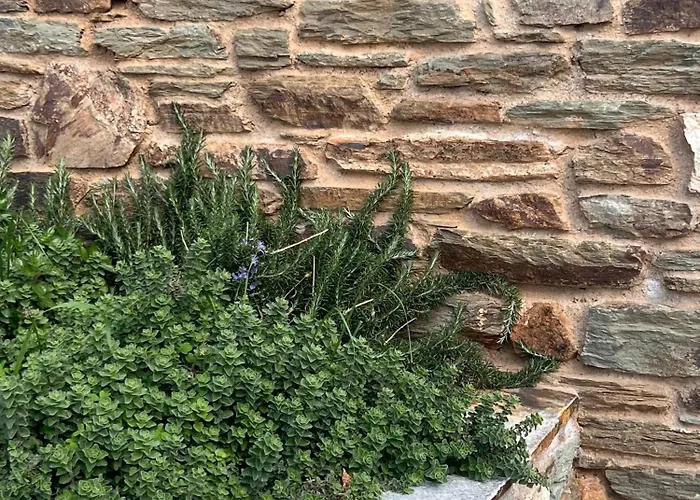 公寓 Avra, A Serene Cycladic With Private Pool Overlooking The Aegean Sea 巴特斯欧