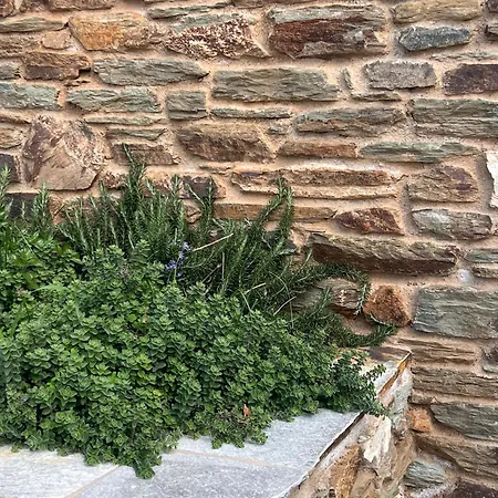 شقة Avra, A Serene Cycladic With Private Pool Overlooking The Aegean Sea باتسي